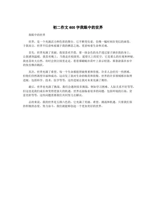 初二作文600字我眼中的世界