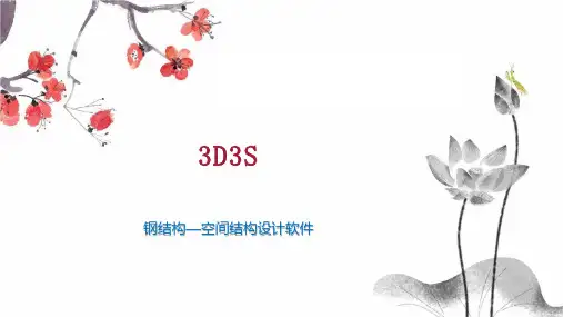 3D3S    