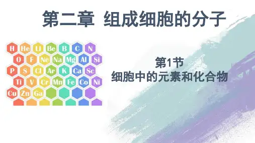 细胞中的元素和化合物++课件+2022—2023学年高一下学期生物人教版必修1