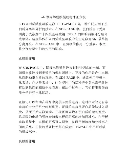 sds聚丙烯酰胺凝胶电泳正负极