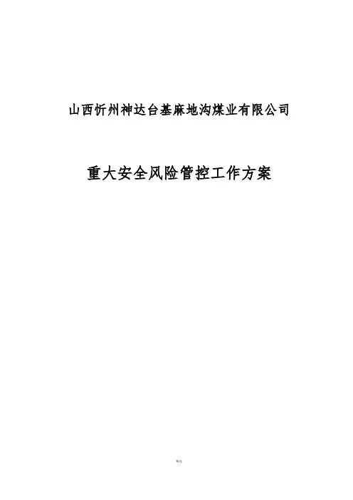 重大安全风险管控工作方案