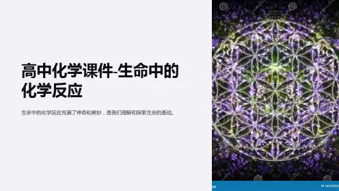 《高中化学课件-生命中的化学反应》