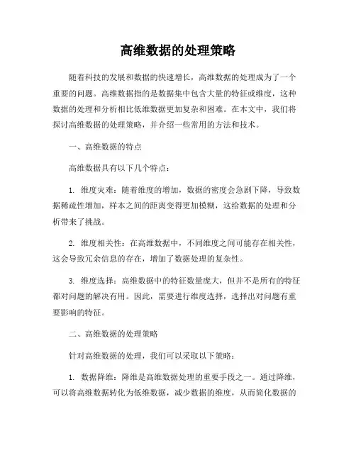 高维数据的处理策略
