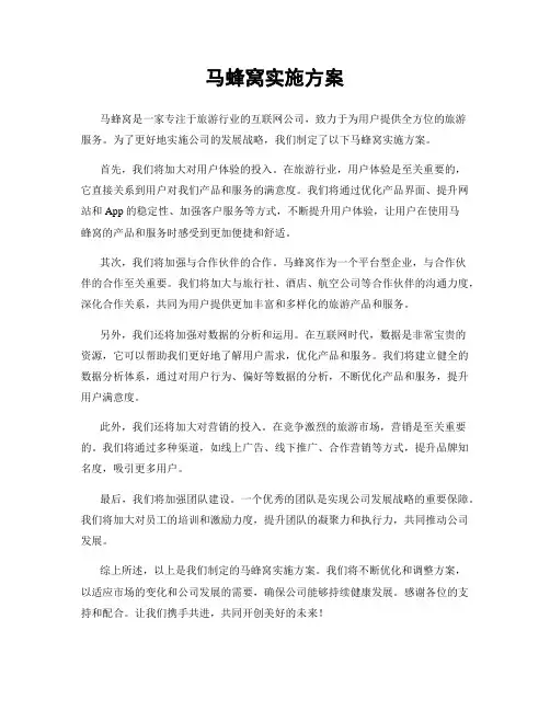 马蜂窝实施方案