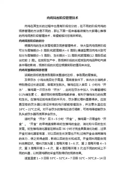 肉鸡饲养阶段管理技术