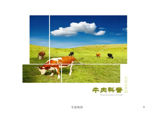 牛肉知识生活小常识[知识研究]