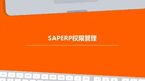 SAPERP权限管理