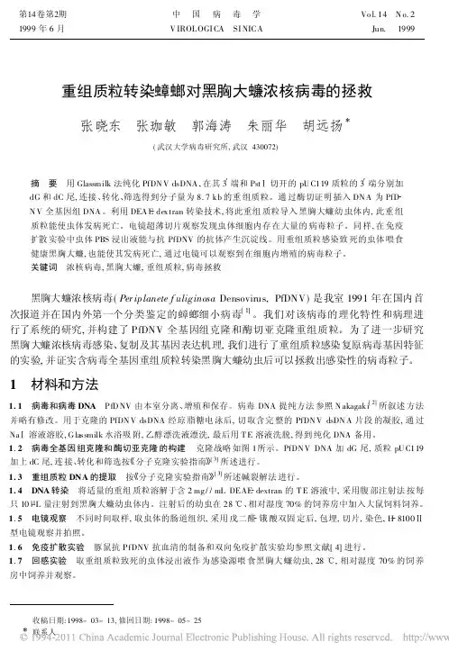 1999 重组质粒转染蟑螂对黑胸大蠊浓核病毒的拯救_张晓东