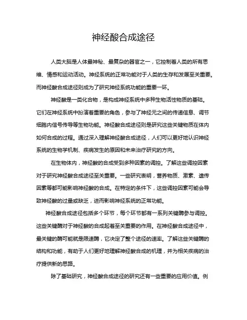神经酸合成途径
