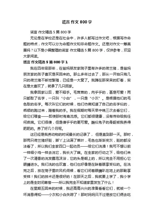 谎言作文精选5篇800字
