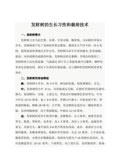 发财树的生长习性和栽培技术