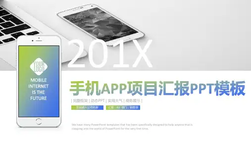 实用大气商务展示手机APP互联网大数据项目汇报PPT模板