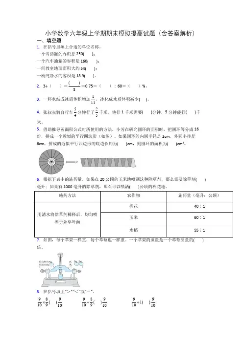 小学数学六年级上学期期末模拟提高试题(含答案解析)