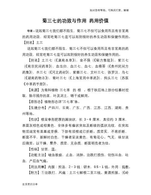 菊三七的功效与作用 药用价值