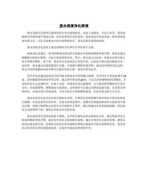 废水深度净化原理