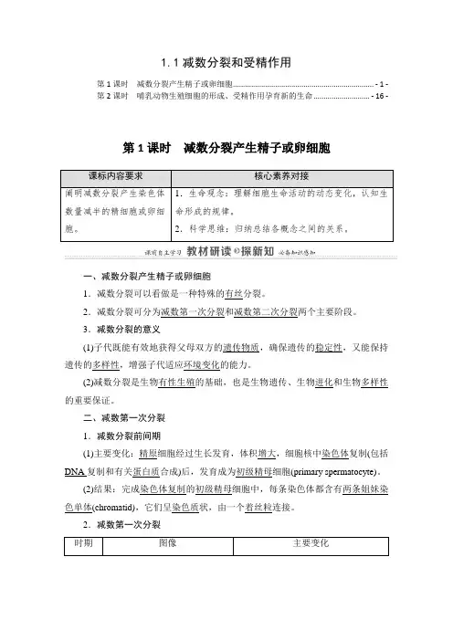 新教材苏教版高中生物必修2遗传与进化 1.1减数分裂和受精作用 学案(知识点考点汇总及配套习题)