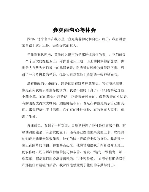 参观西沟心得体会