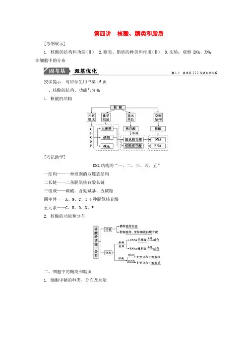 2018届高考生物一轮复习第一单元细胞及其分子组成第四讲核酸糖类和脂质学案