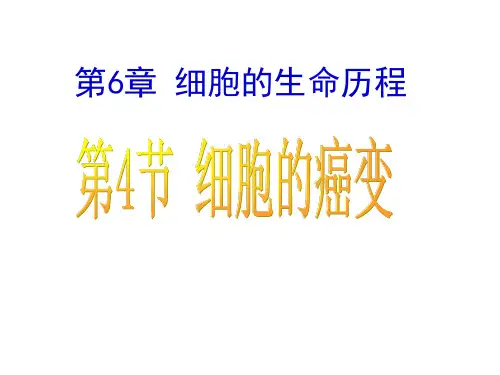 高中生物必修一人教版必修一第六章第四节细胞的癌变(共29张PPT)