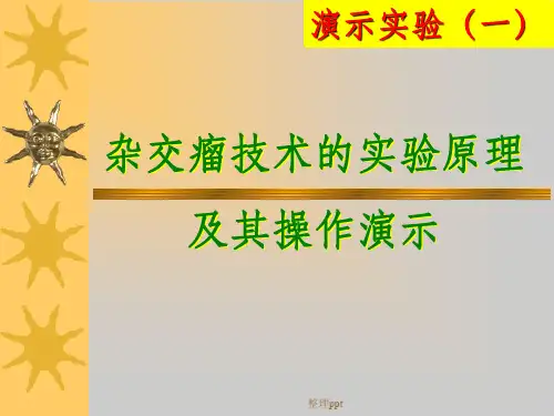 杂交瘤技术的实验原理及其操作演示