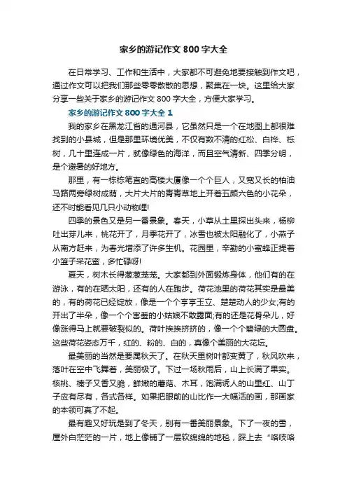 家乡的游记作文800字大全
