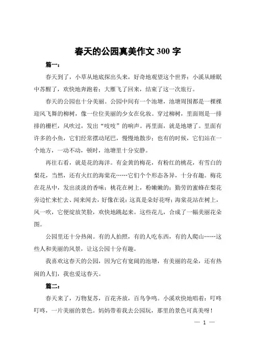 春天的公园真美作文300字