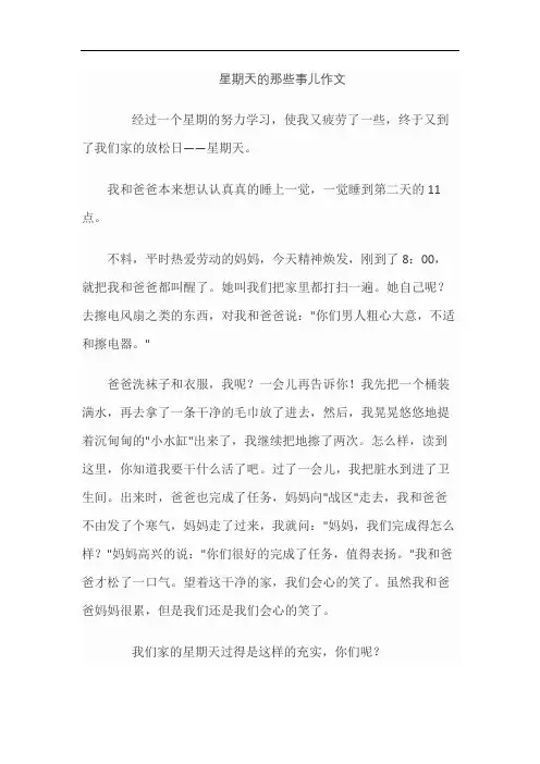 星期天的那些事儿作文