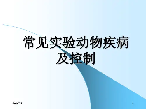 实验动物的主要疾病