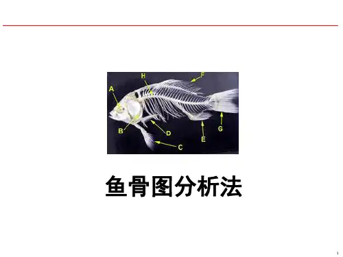 鱼骨图分析法