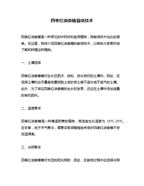 四季红油香椿栽培技术