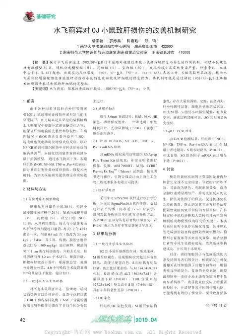 水飞蓟宾对OJ 小鼠致肝损伤的改善机制研究