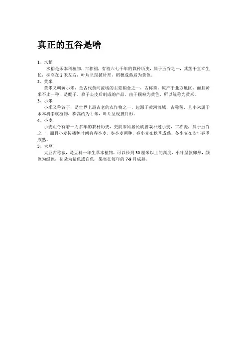 真正的五谷是啥