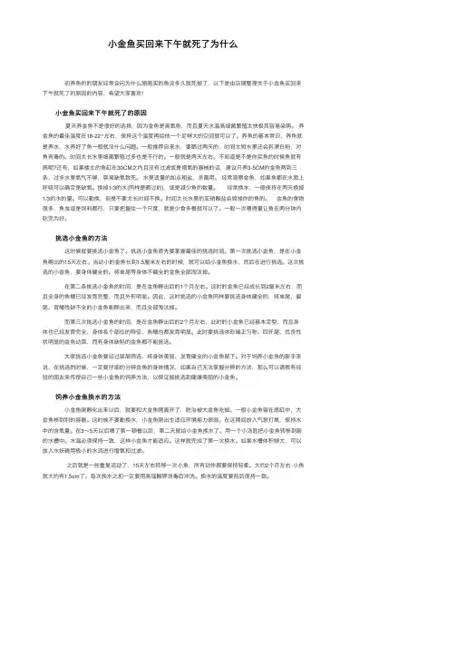 小金鱼买回来下午就死了为什么