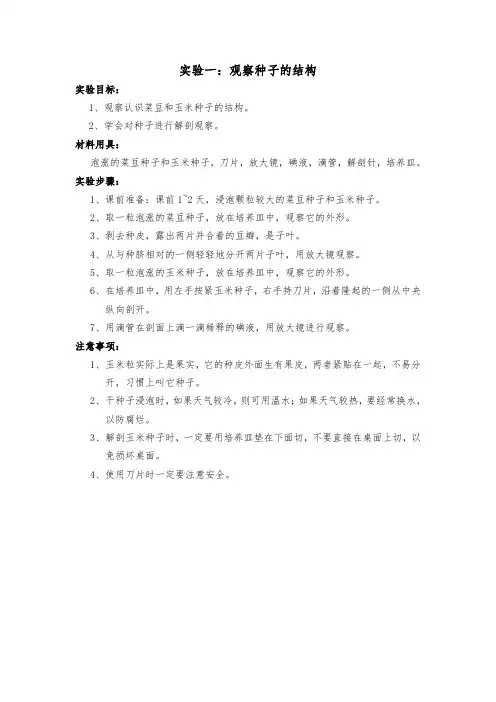 实验报告单