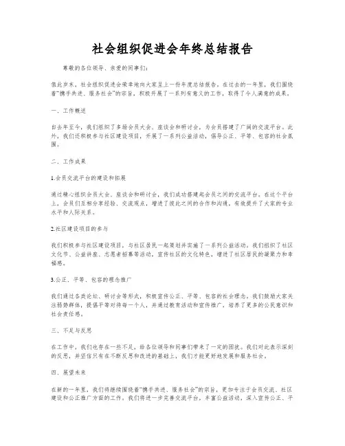 社会组织促进会年终总结报告