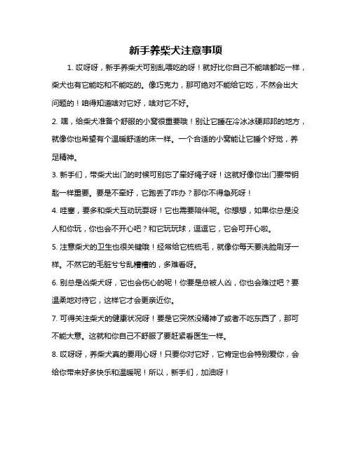 新手养柴犬注意事项