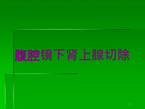 腹腔镜下肾上腺切除培训ppt课件