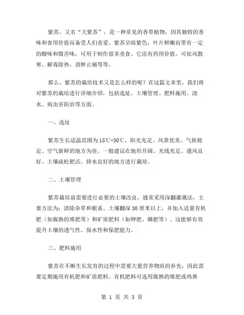 紫苏的栽培技术范文