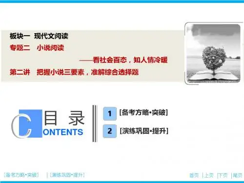 板块一  专题二  第二讲 把握小说三要素,准解综合选择题