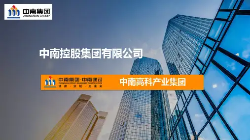 中南集团及中南高科简介