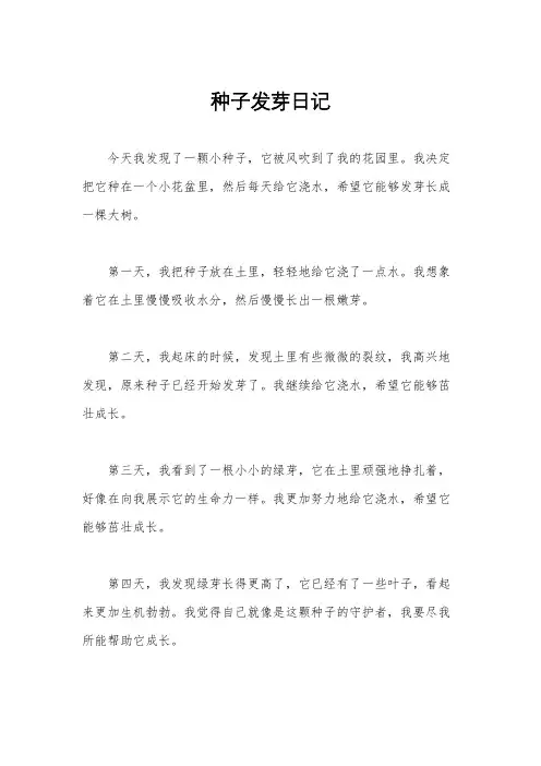种子发芽日记
