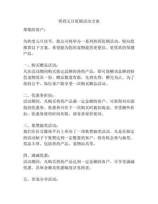 兽药元旦促销活动方案