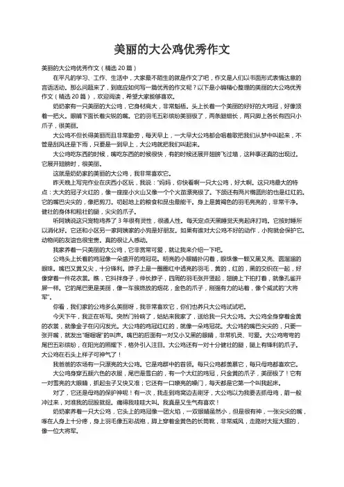 美丽的大公鸡优秀作文（精选20篇）