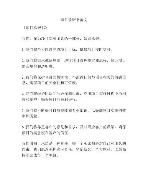 项目承诺书范文