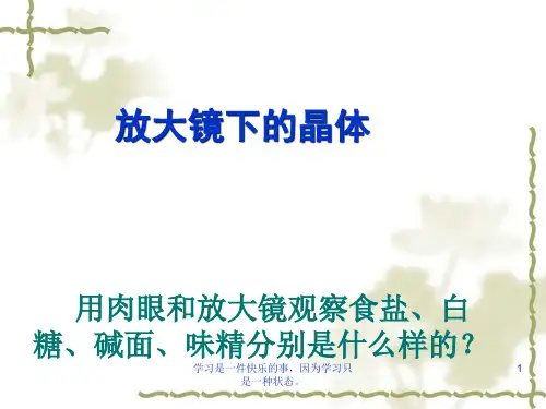 (新编)教科版小学科学六年级下册《放大镜下的晶体》ppt课件