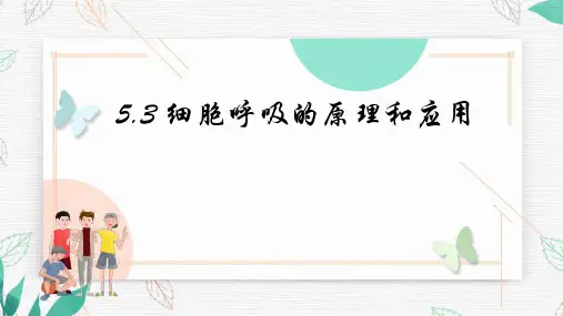 细胞呼吸的原理与应用ppt课件