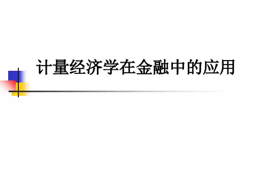 计量经济学在金融中的应用ppt课件