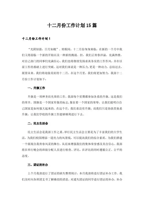 十二月份工作计划15篇