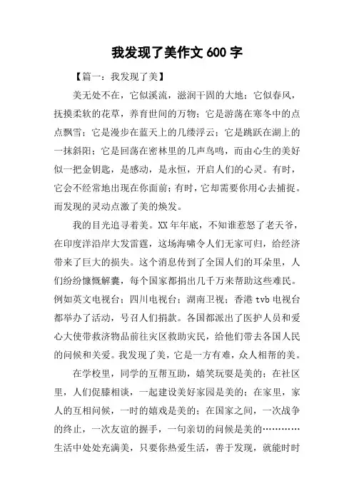 我发现了美作文600字