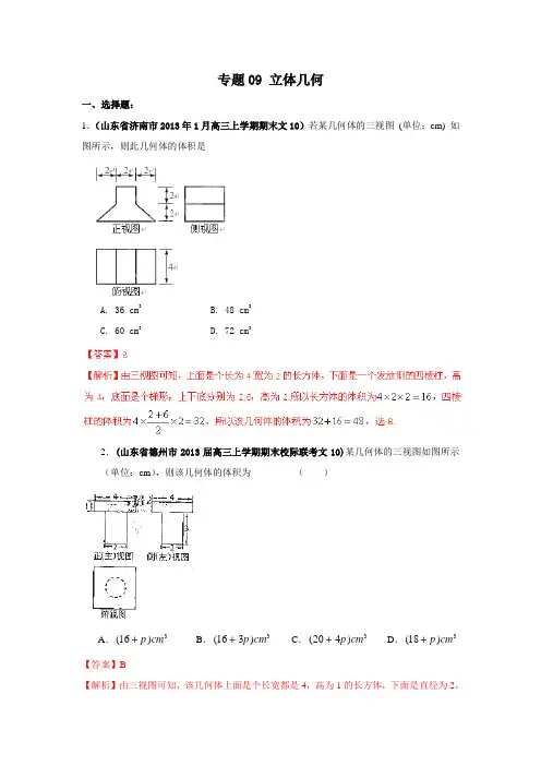 2013高考数学试题分类汇编：专题09 立体几何(解析版b)